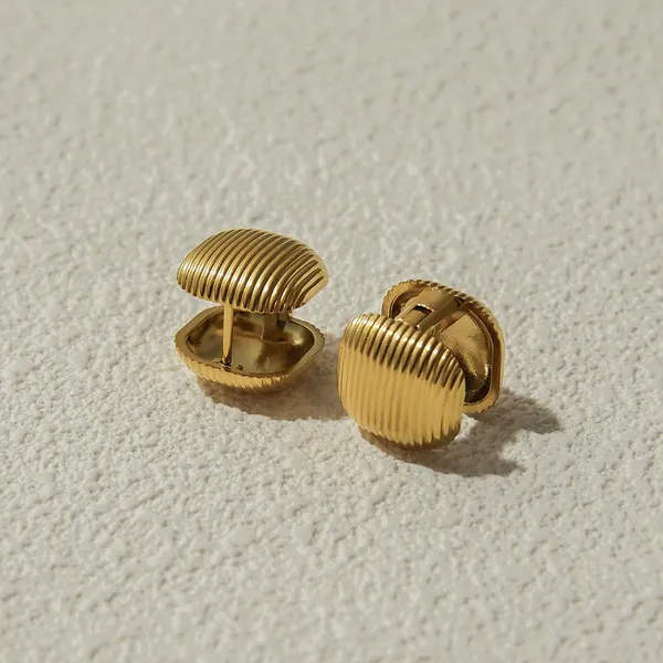 Golden_Stainless_Steel_And_Hypoallergenic_Coating_Earrings_For_Women